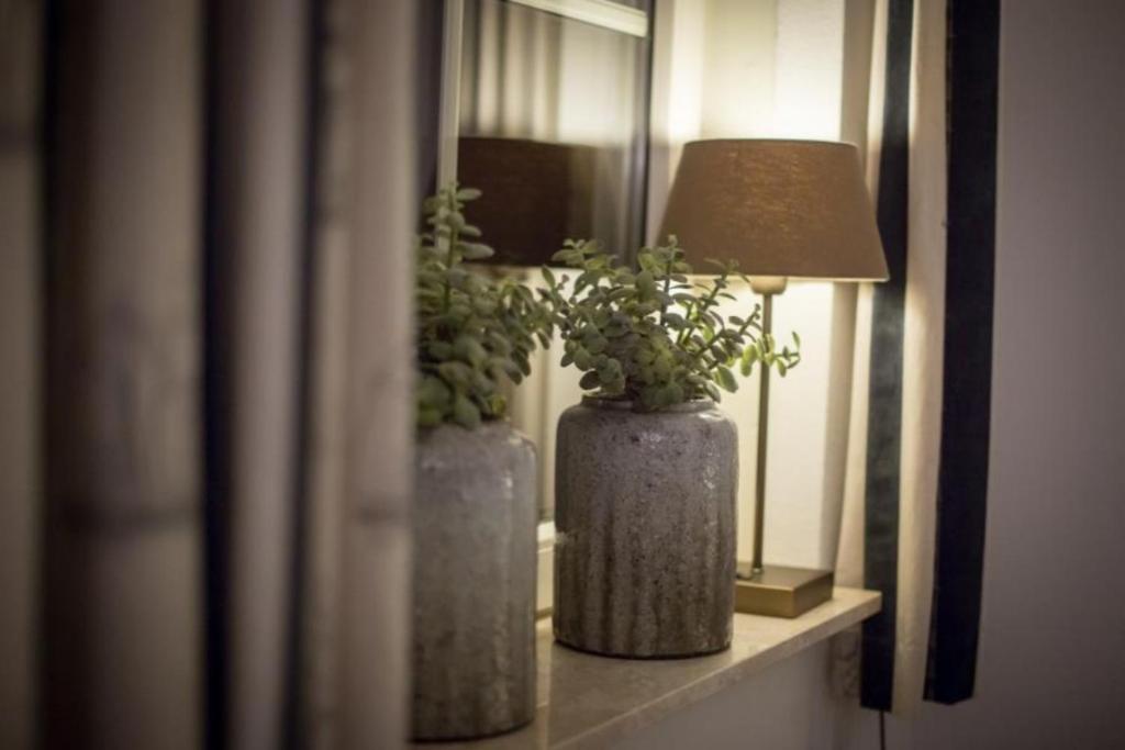 Weidevilla Xxl Hollum  Εξωτερικό φωτογραφία